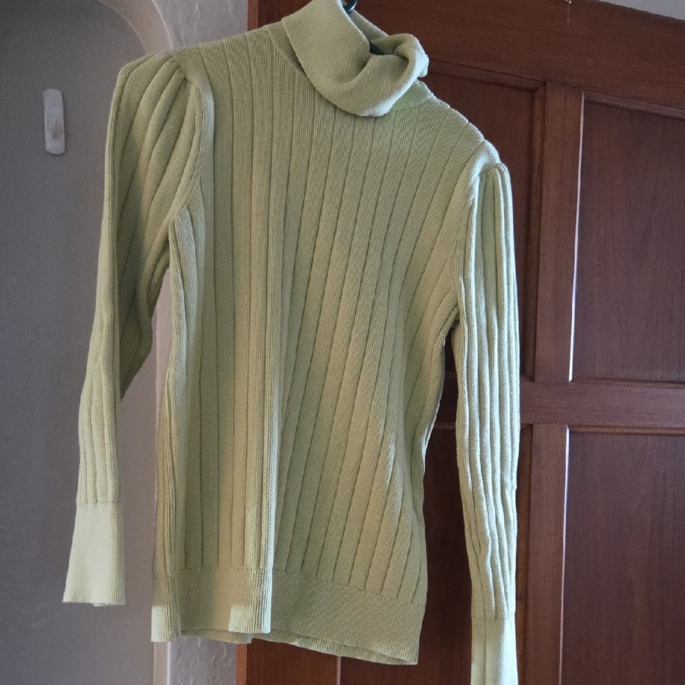 Talbots Light Green Ribbed Turtleneck Sweater